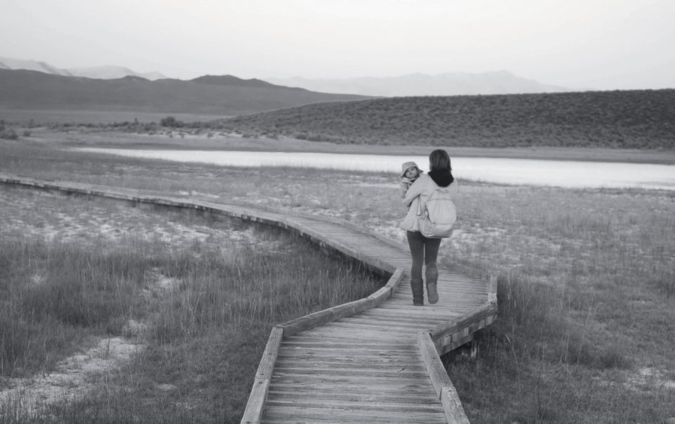 Perspectiva feminista y ‘crisis de los cuidados’