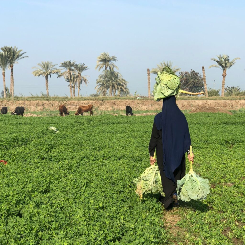 Emakumeak mugimenduan. Migrazioari eta generoari buruzko ohiko galderak